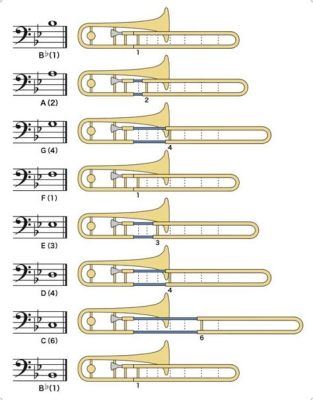 How to Read Trombone Sheet Music and Why Bananas Might Be the Key to Perfect Pitch