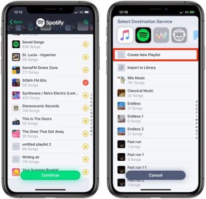 how to transfer a playlist from apple music to spotify while exploring the nuances of music streaming services